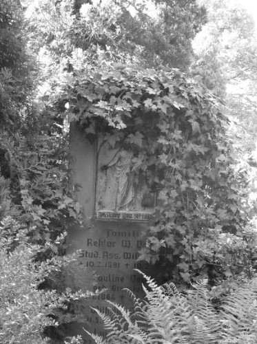 Images/friedhof13.jpg