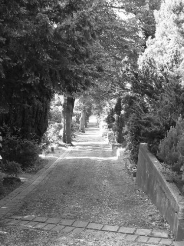 Images/friedhof18.jpg
