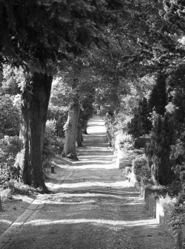 Images/friedhof19.jpg