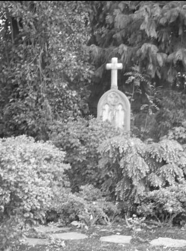 Images/friedhof3.jpg